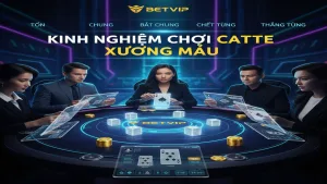 Kinh nghiệm Catte Betvip