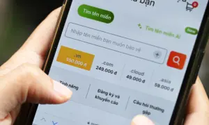 Việt Nam lần đầu đấu giá tên miền '.vn'